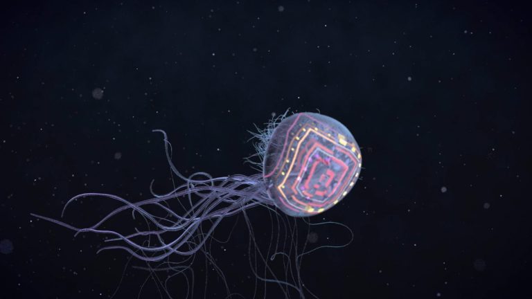 Juan Cosby – Nuance Video